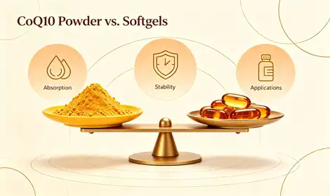 CoQ10 Powder vs. Softgels: Differences in Absorption, Stability and Applications